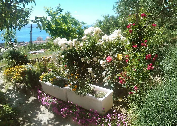 Mira-1 By Interhome * Makarska